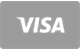 Visa Kreditkarte Zahlungsoption